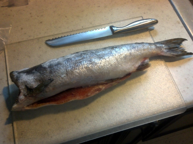 A whole frozen salmon